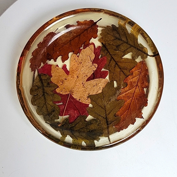 Lucite Fall Leaves Coasters - Picture 6 of 9